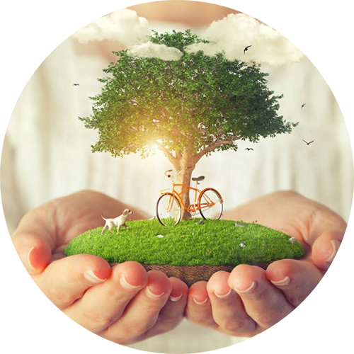 1716540691734047.png yuanlinwenhua.png